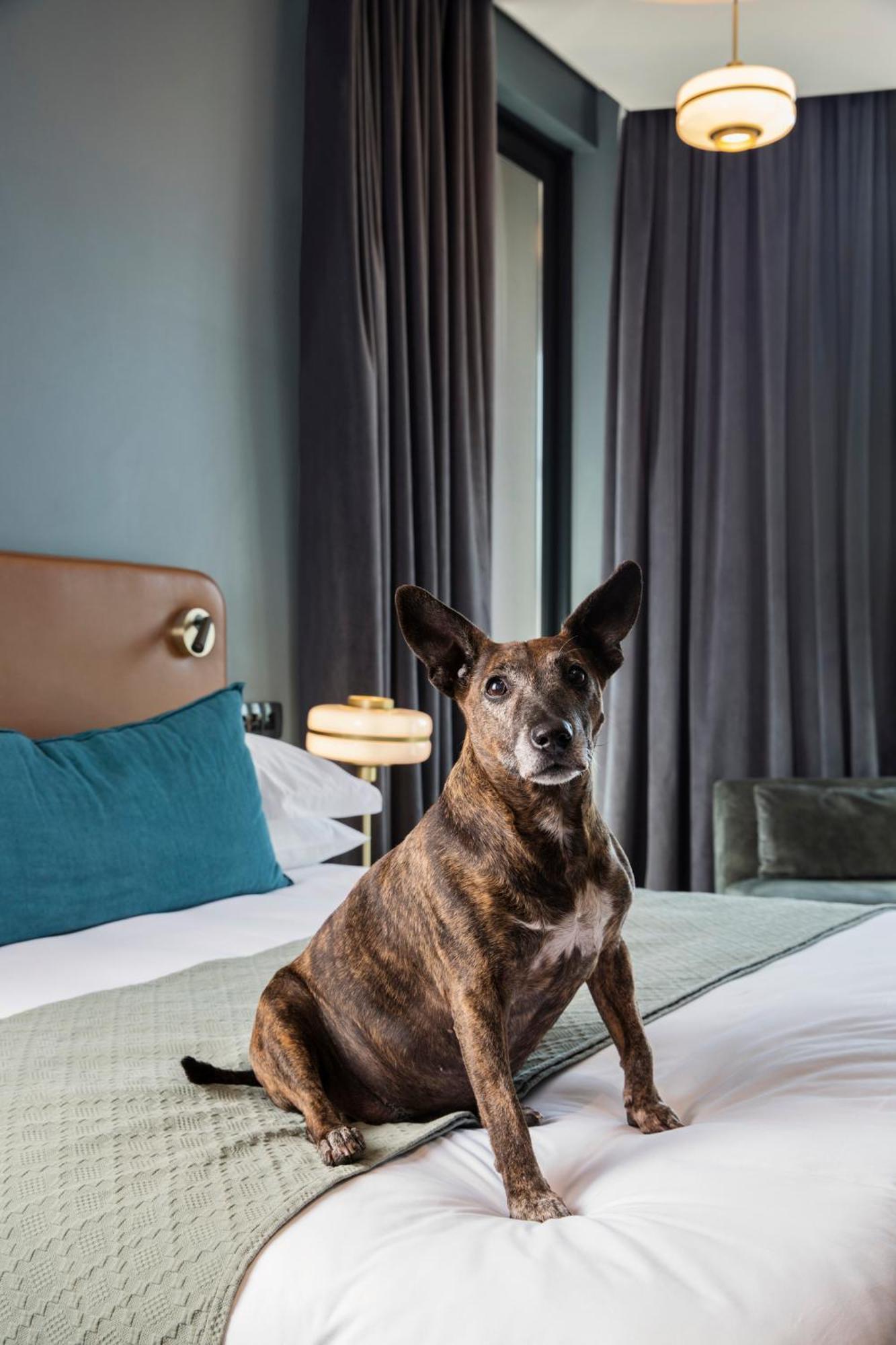 Home Suite Hotels Rosebank Joanesburgo Exterior foto